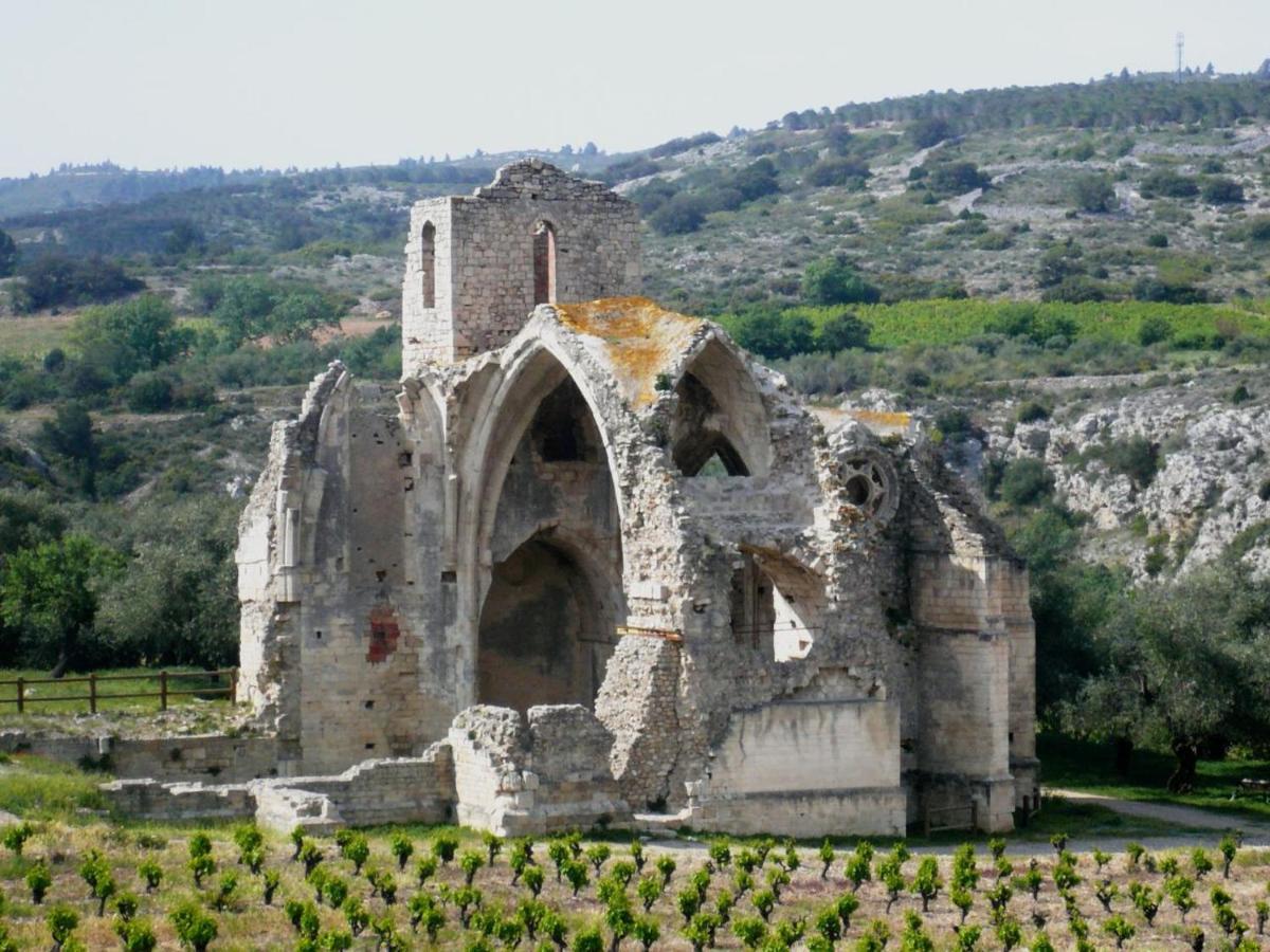 T3 Proche De La Mer Portel-des-Corbieres Dış mekan fotoğraf